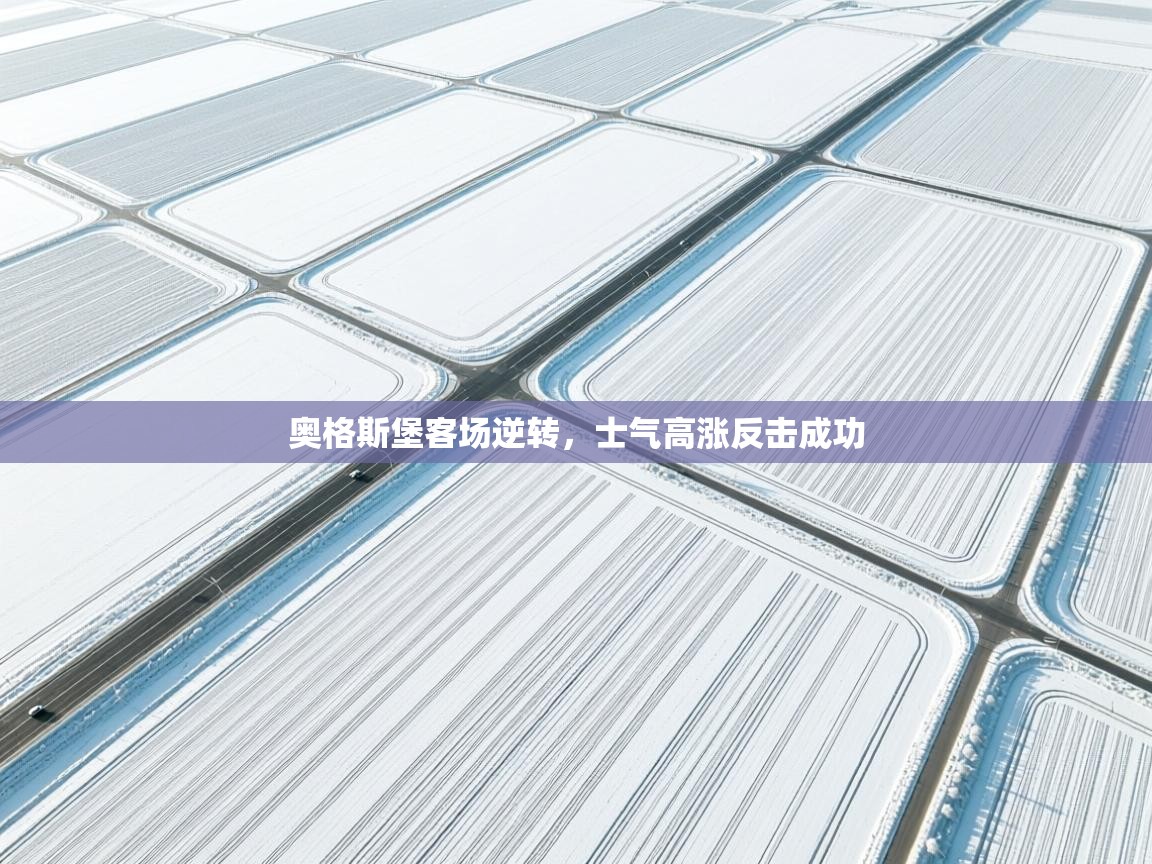 奥格斯堡客场逆转,士气高涨反击成功 第2张