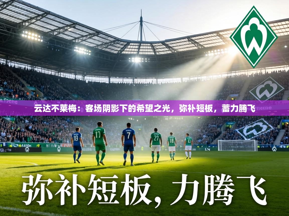 云达不莱梅:客场阴影下的希望之光,弥补短板,蓄力腾飞 第2张
